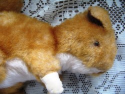 SQUIRREL VIEW A_05